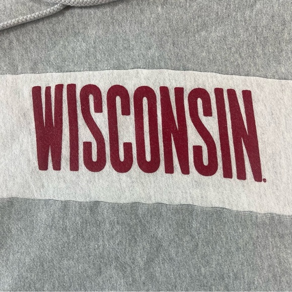 Champion Gray and White Crop Wisconsin Hoodie size medium - Picture 4 of 9